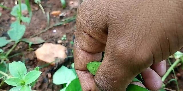 amateur,blowjob,exclusive,masturbating,tamil,verified,